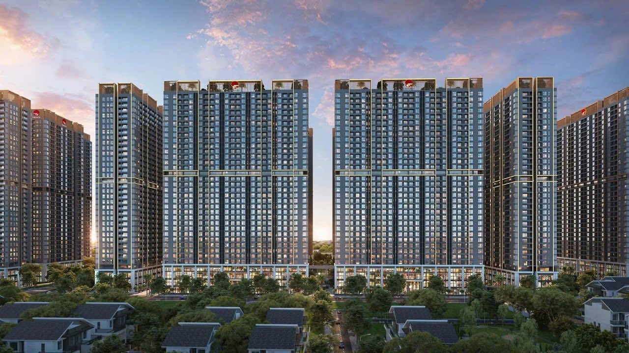 dự án the flame vine