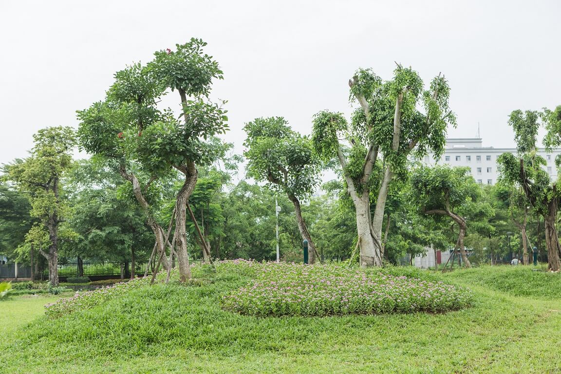 tiện ích dự án flora garden yên sở